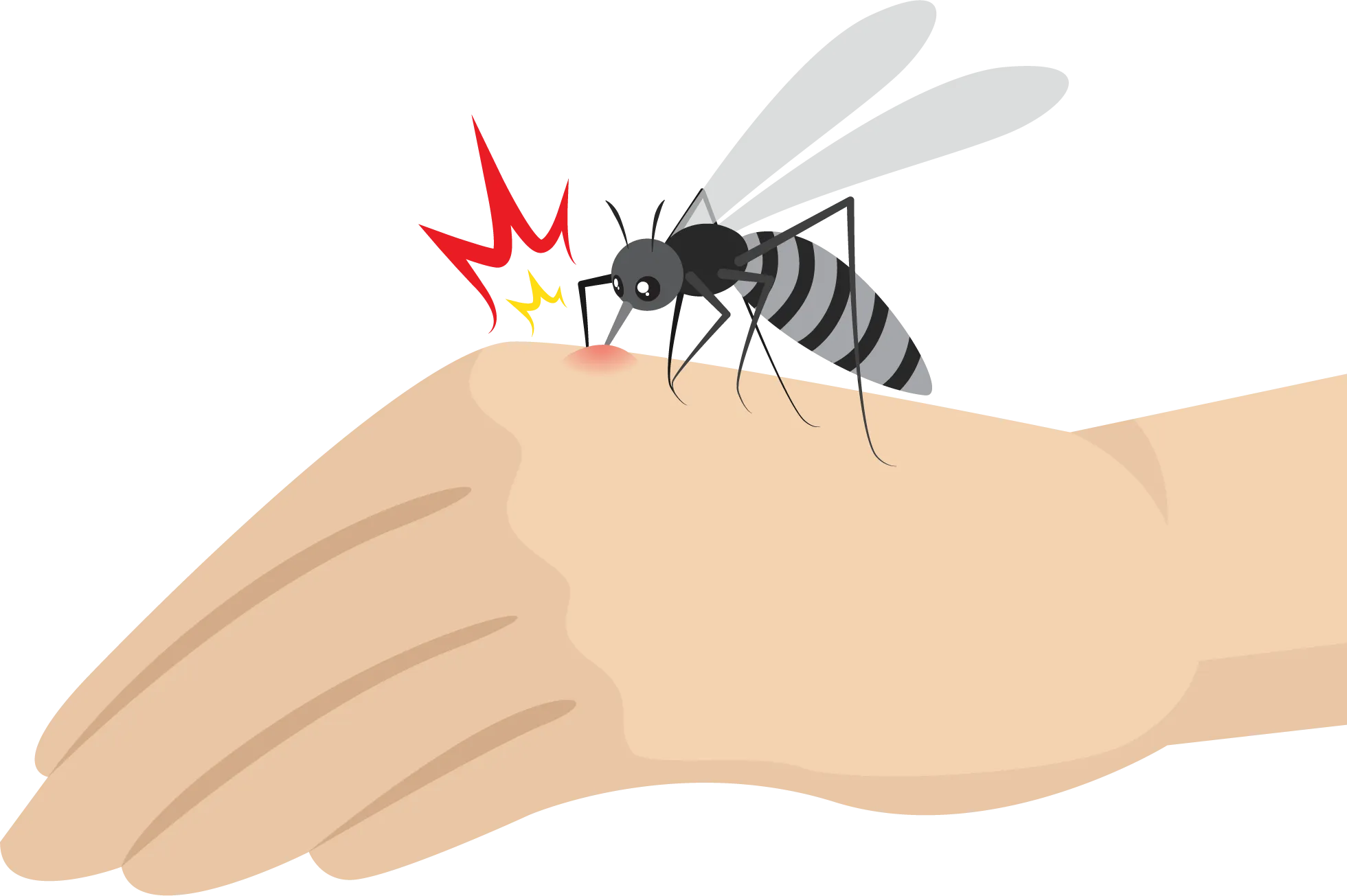 MAB-health-screening